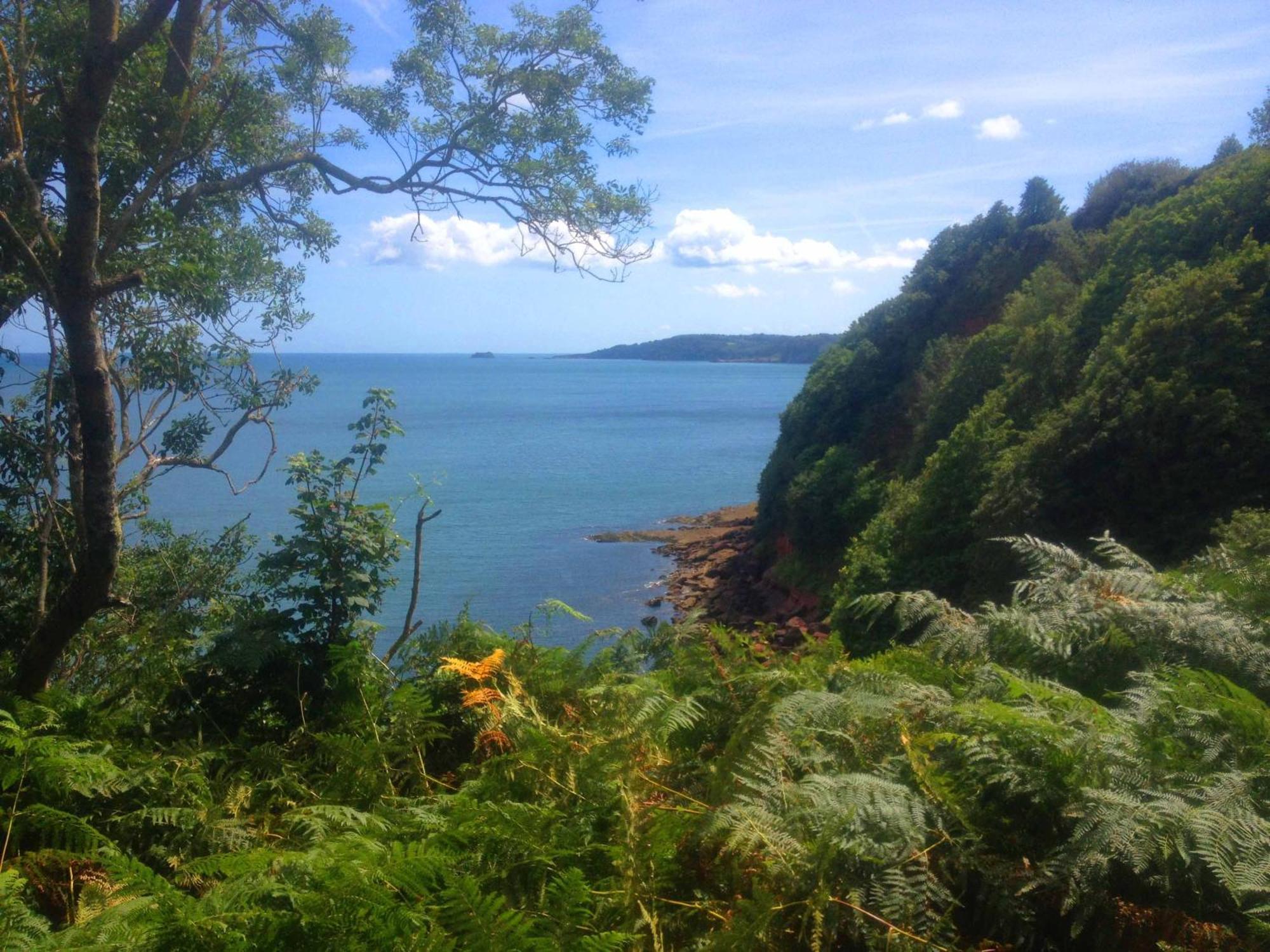 Tide House Seaside Holiday Cottage แชลดอน ภายนอก รูปภาพ